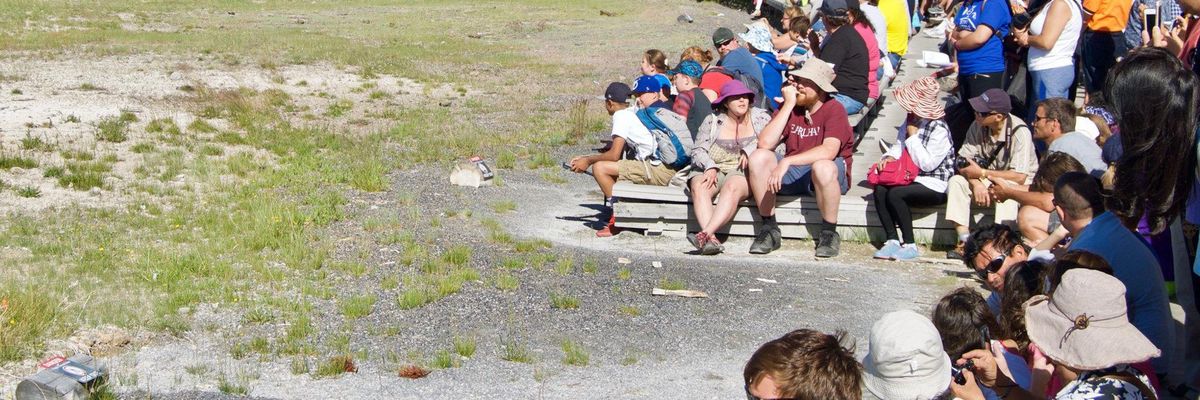 yellowstone national park