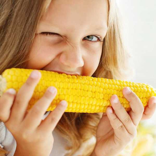 Young girl eating corn on the cob