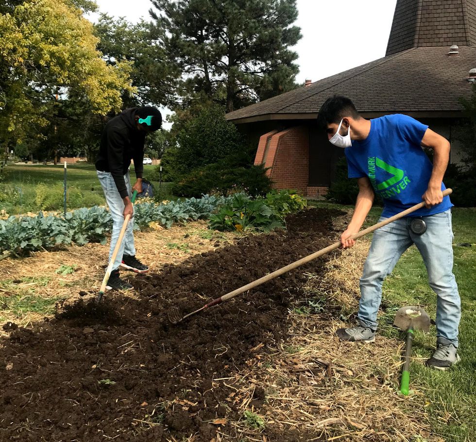 Youth community gardens